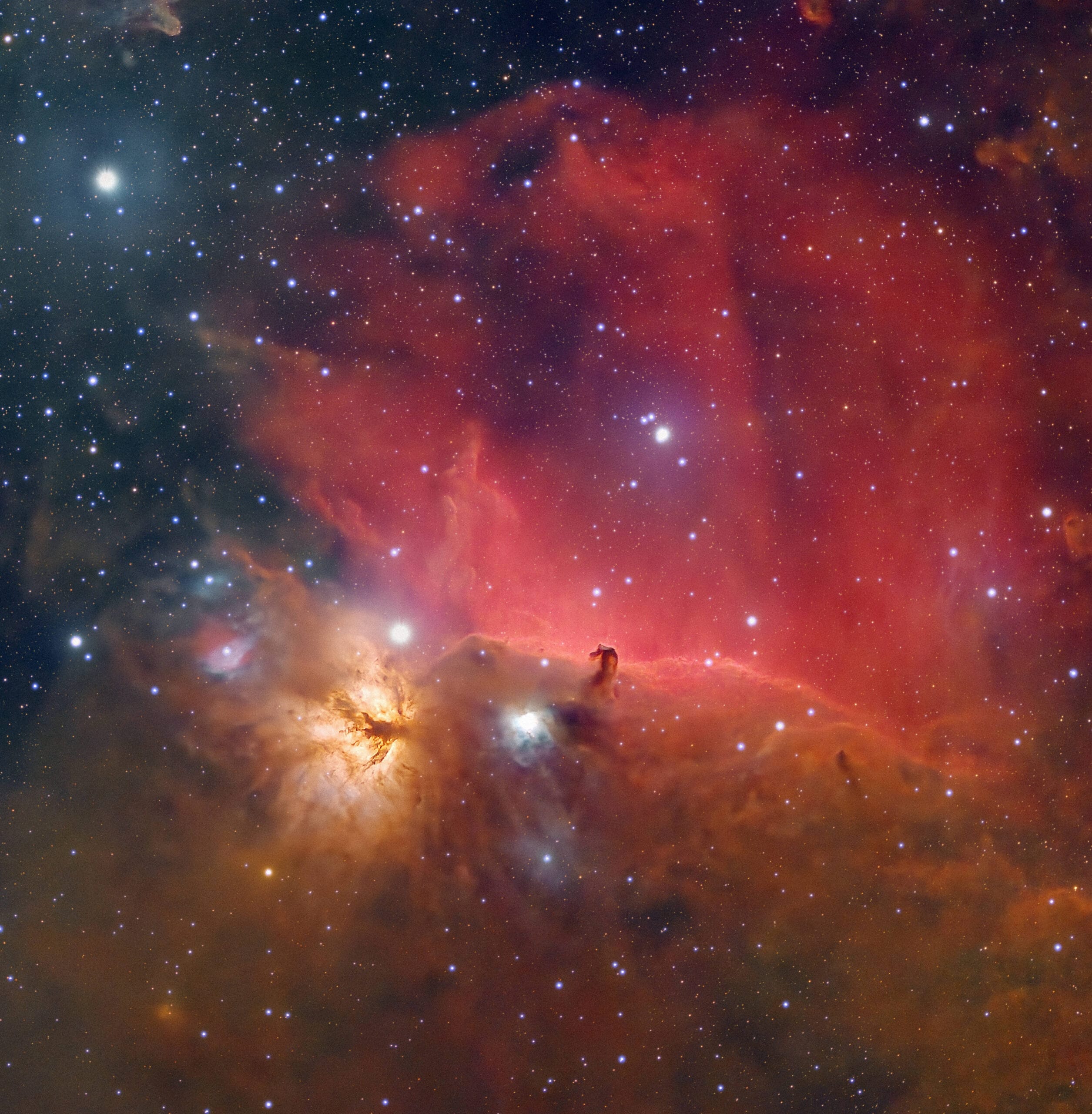 Vespera 2 Horsehead nebula with live mosaic mode CovalENS scaled 1 Telescoop.nl - Alles voor sterrenkijken & natuurwaarneming