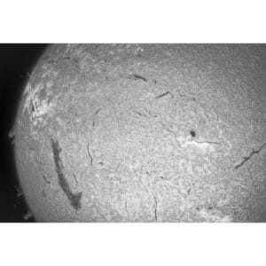 Astrofotografie software uitleg - workflows & instructies