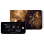 DWARF-MINI-7 dwarf mini