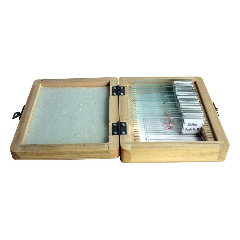 Omegon Duurpreparaten-set, 20-Delig 1 Omegon Duurpreparaten set in houten doos 20 1 Omegon Duurpreparaten-set 20 stuks geopend in houten doos met microscoopglaasjes