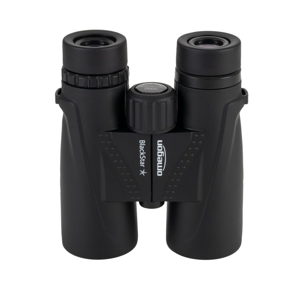 Omegon Binoculars Blackstar 12x42 sample image of mountain landscape with snow-capped peaks
